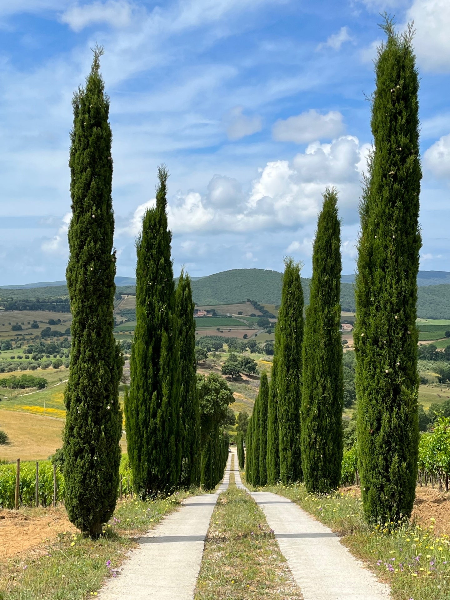 Col di Bacche Entry